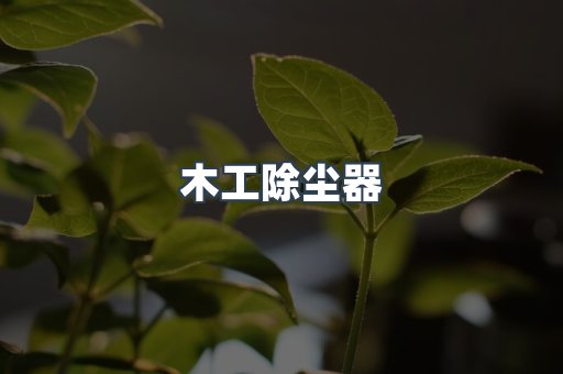 脉冲布袋除尘器