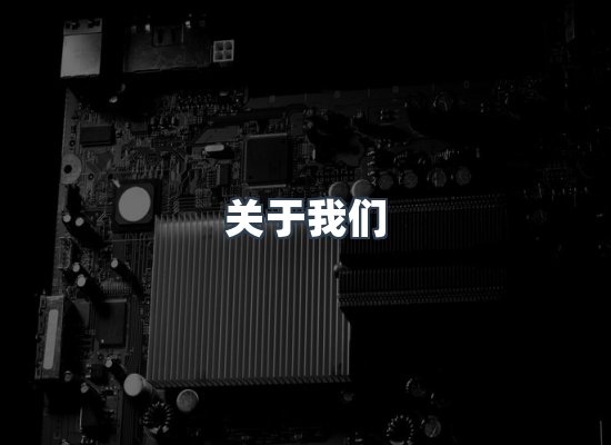 专业团队